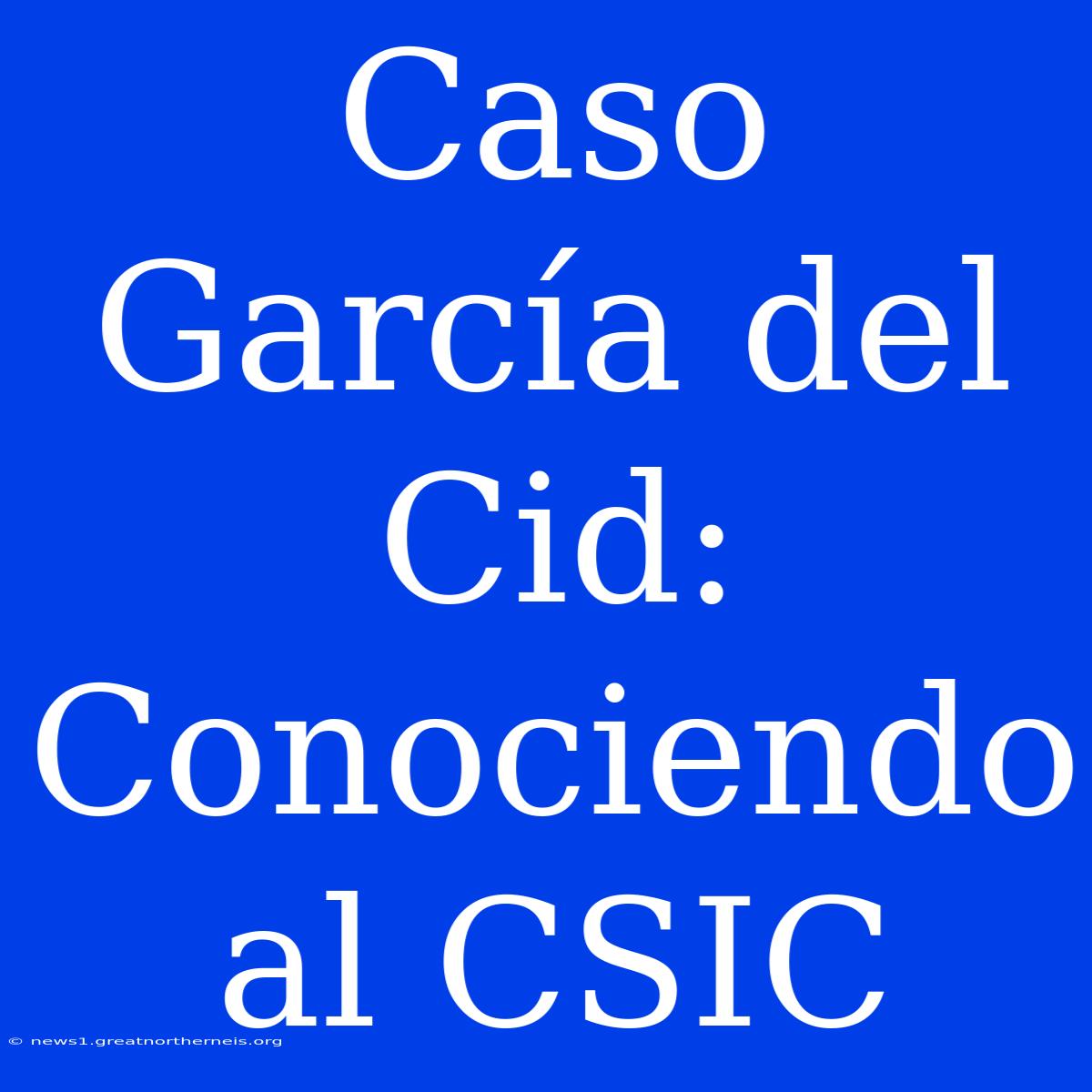 Caso García Del Cid: Conociendo Al CSIC