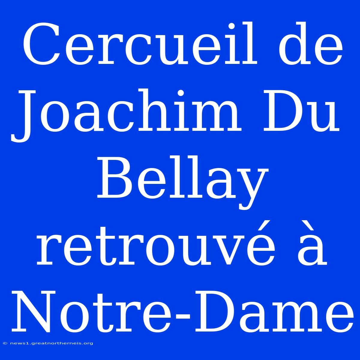 Cercueil De Joachim Du Bellay Retrouvé À Notre-Dame