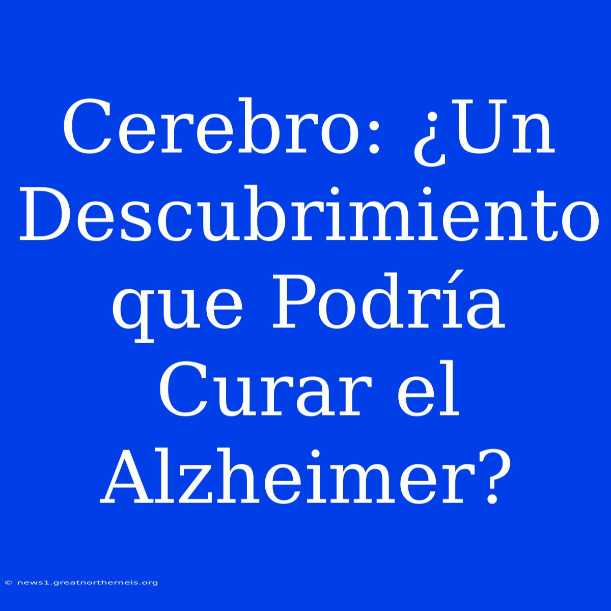 Cerebro: ¿Un Descubrimiento Que Podría Curar El Alzheimer?