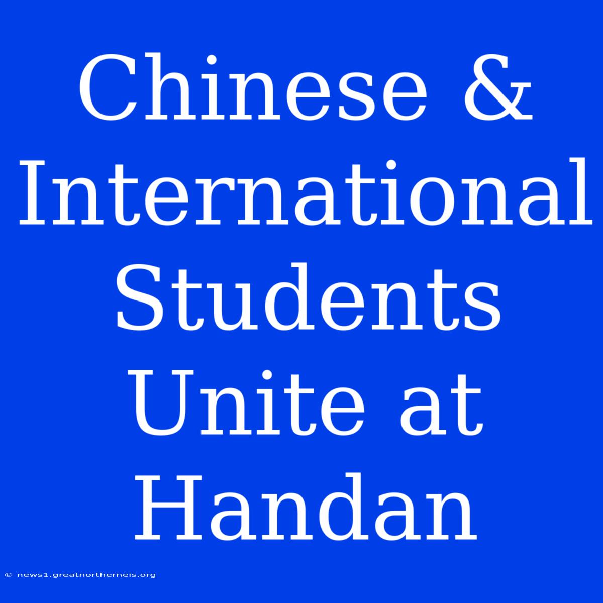 Chinese & International Students Unite At Handan