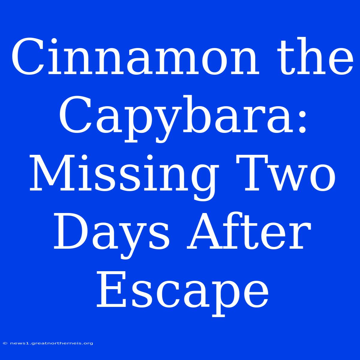 Cinnamon The Capybara: Missing Two Days After Escape