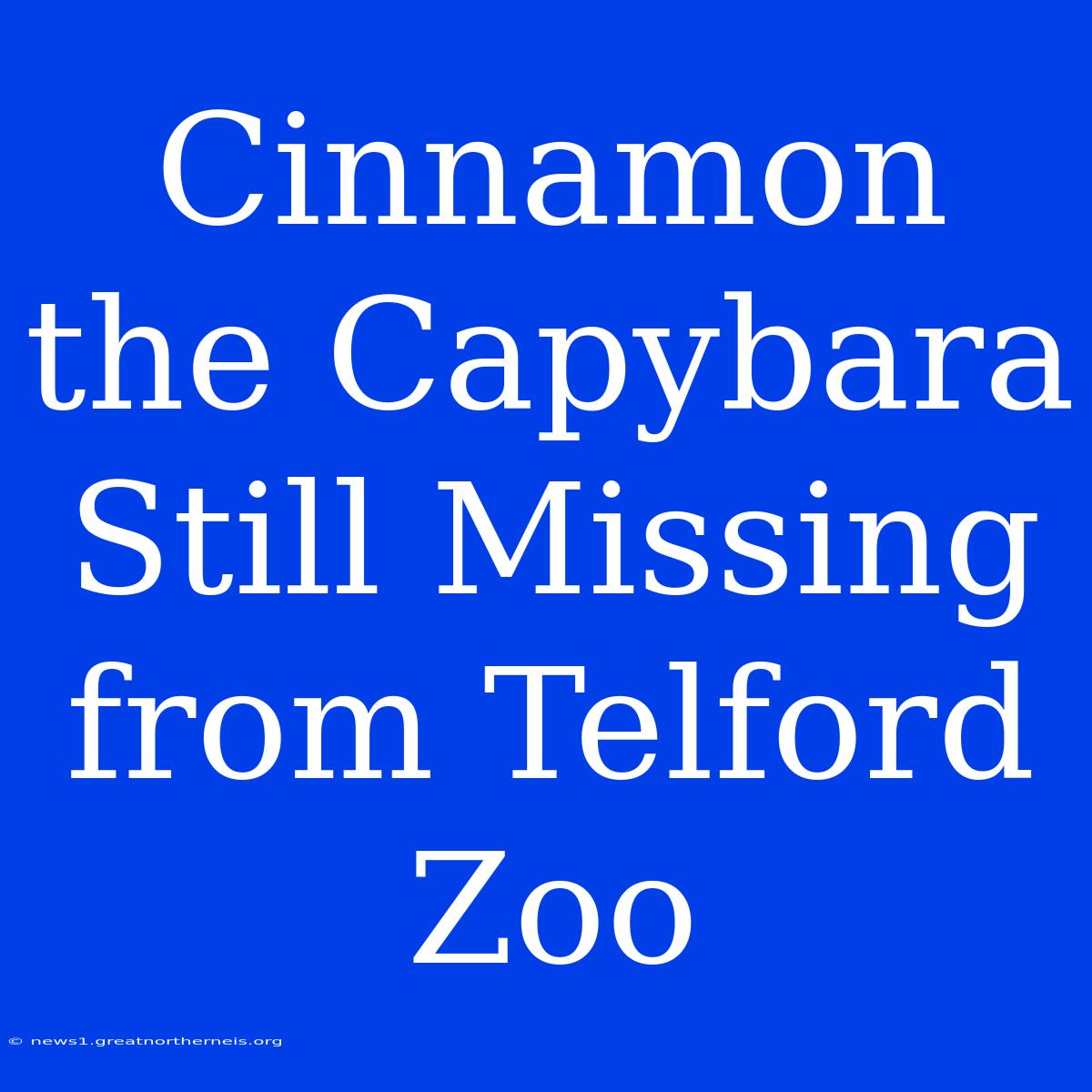 Cinnamon The Capybara Still Missing From Telford Zoo