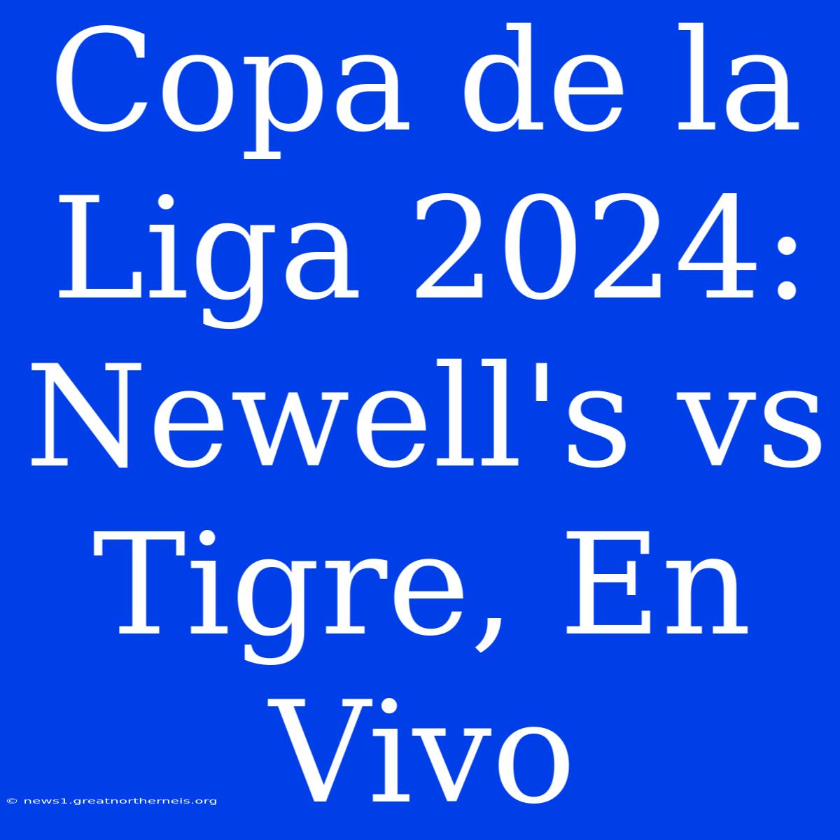 Copa De La Liga 2024: Newell's Vs Tigre, En Vivo