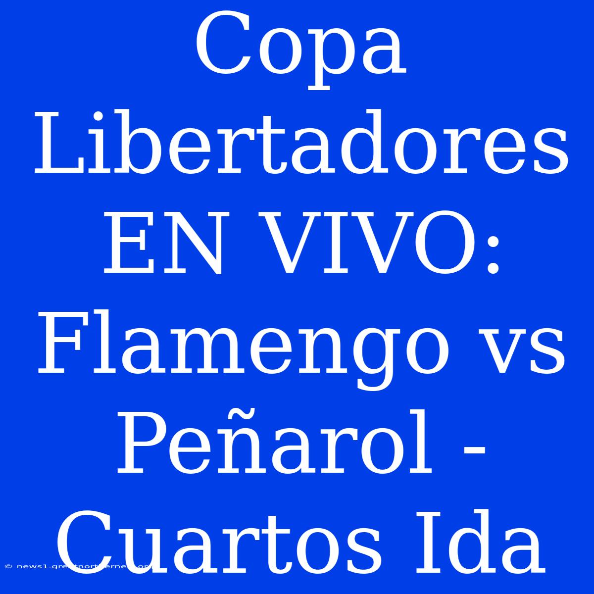 Copa Libertadores EN VIVO: Flamengo Vs Peñarol - Cuartos Ida