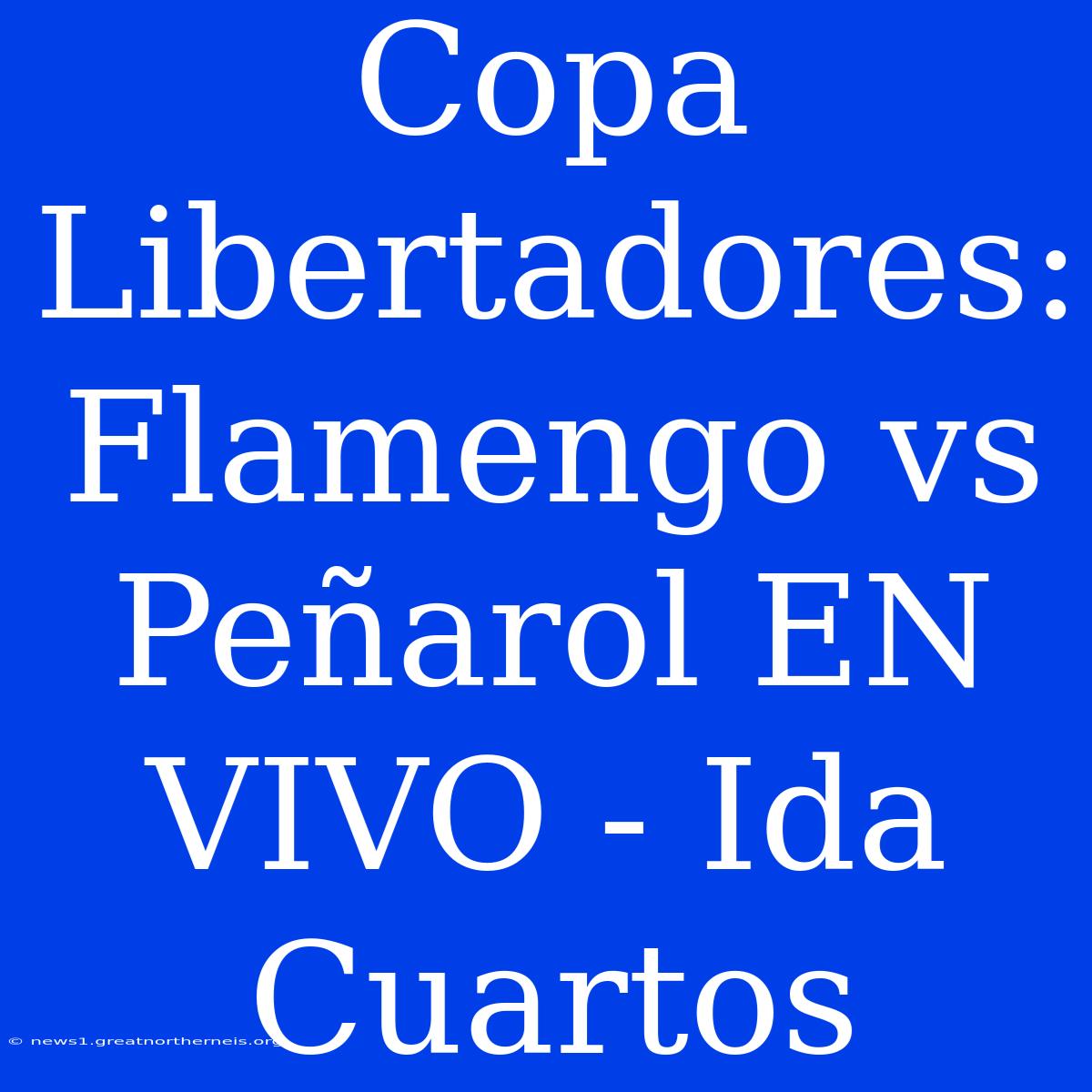 Copa Libertadores: Flamengo Vs Peñarol EN VIVO - Ida Cuartos