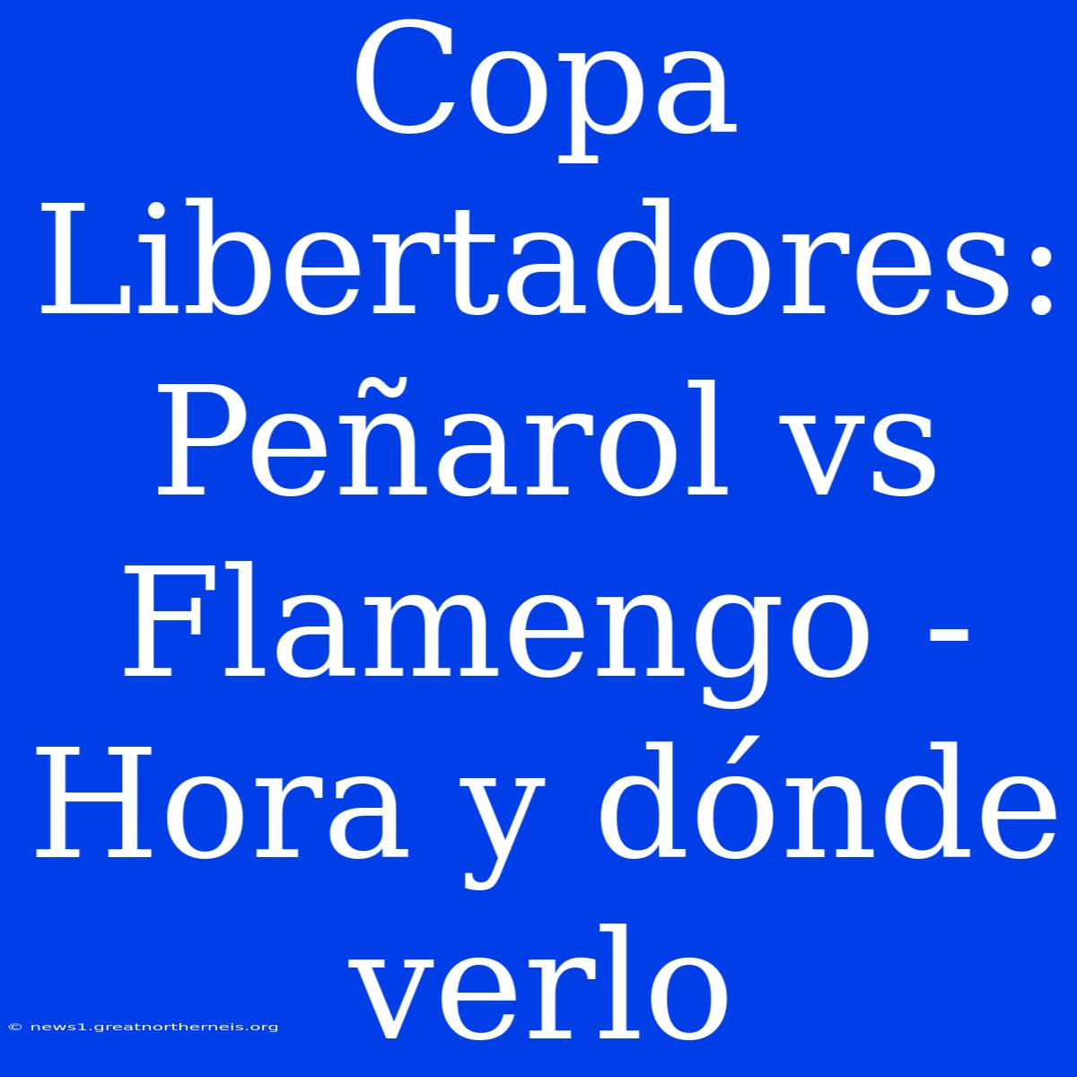 Copa Libertadores: Peñarol Vs Flamengo - Hora Y Dónde Verlo