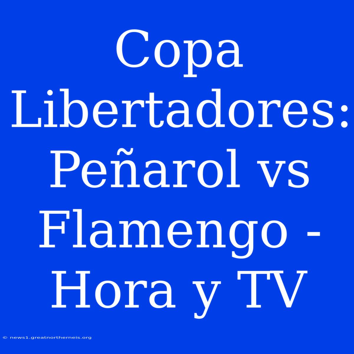 Copa Libertadores: Peñarol Vs Flamengo - Hora Y TV