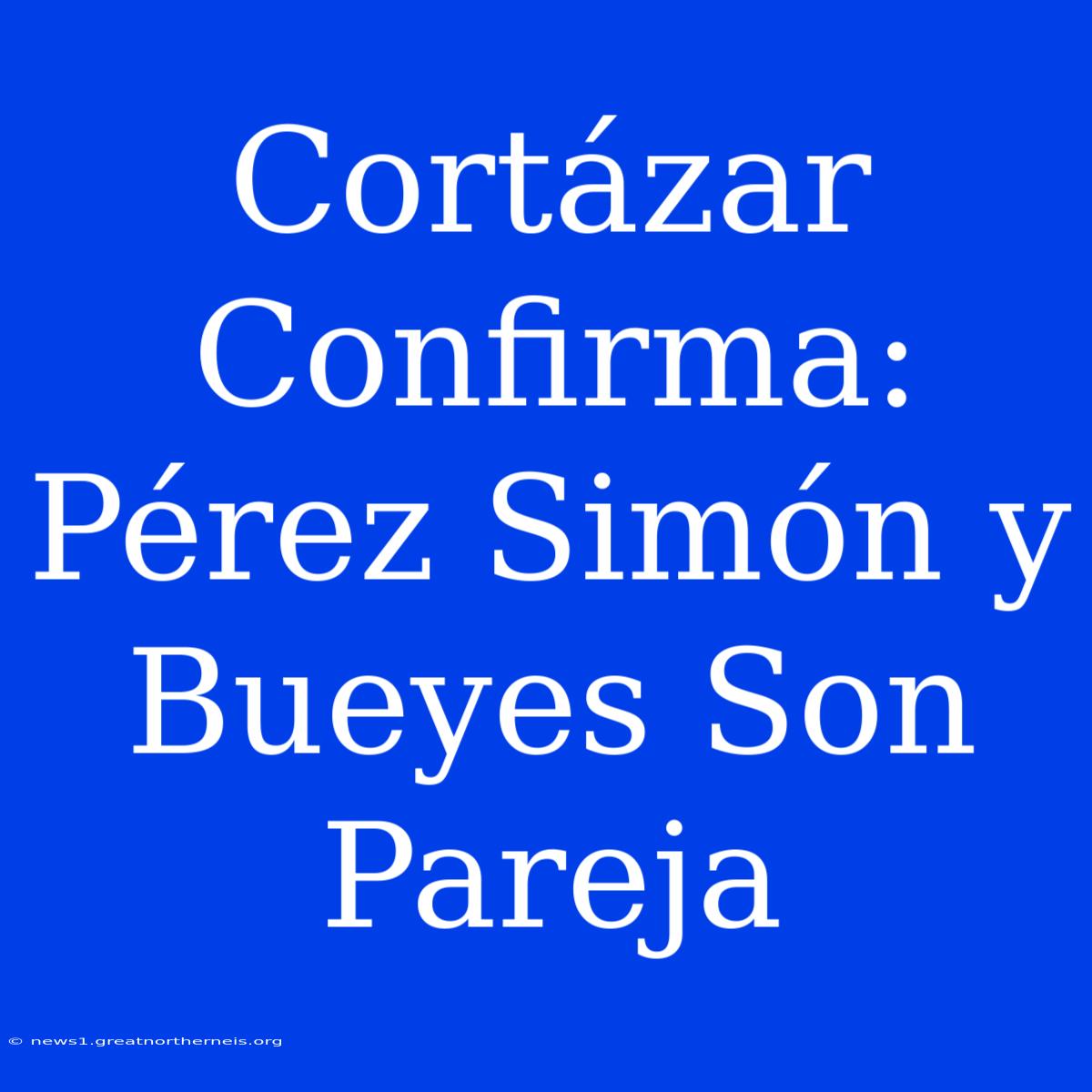 Cortázar Confirma: Pérez Simón Y Bueyes Son Pareja