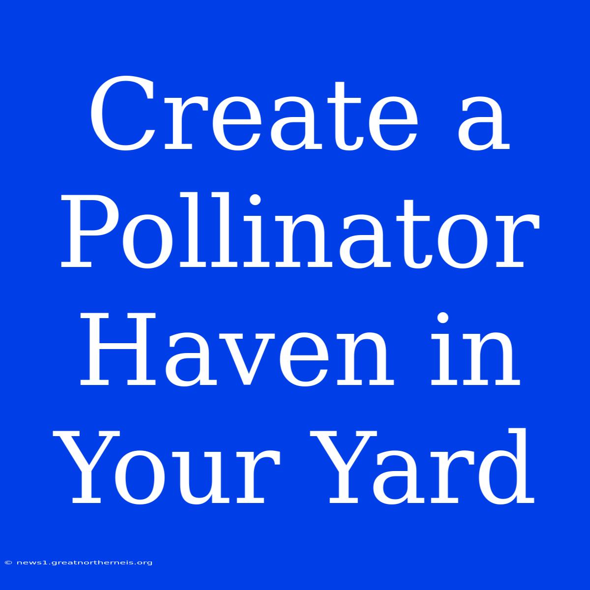 Create A Pollinator Haven In Your Yard