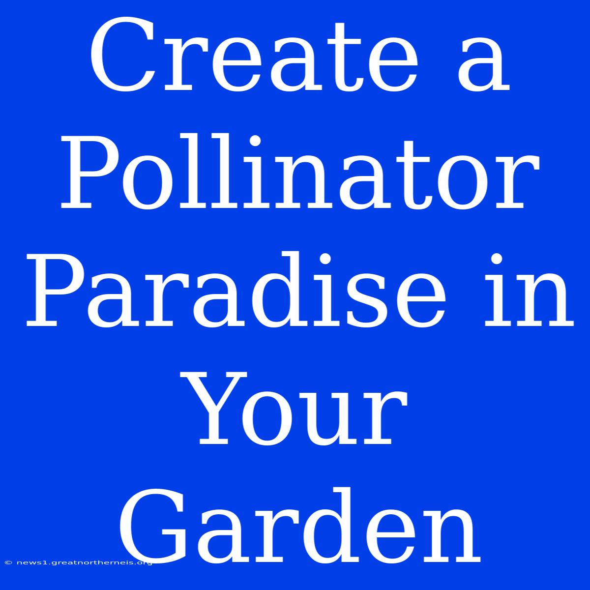 Create A Pollinator Paradise In Your Garden