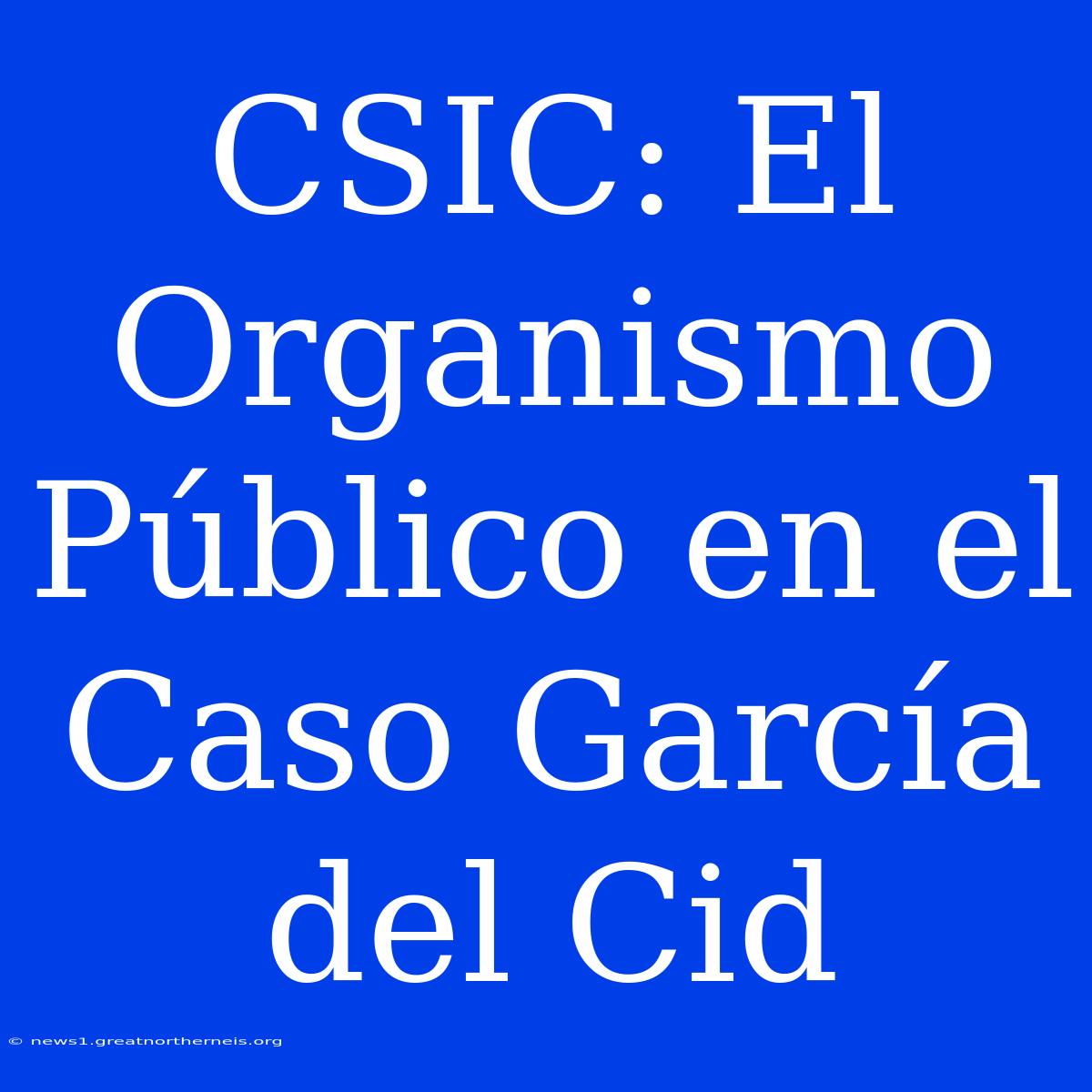 CSIC: El Organismo Público En El Caso García Del Cid