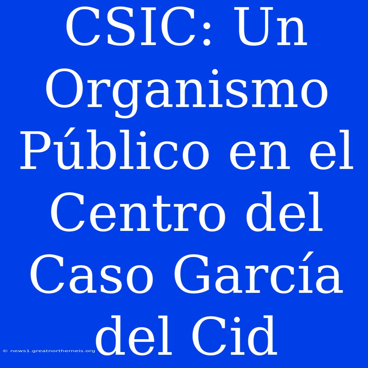 CSIC: Un Organismo Público En El Centro Del Caso García Del Cid