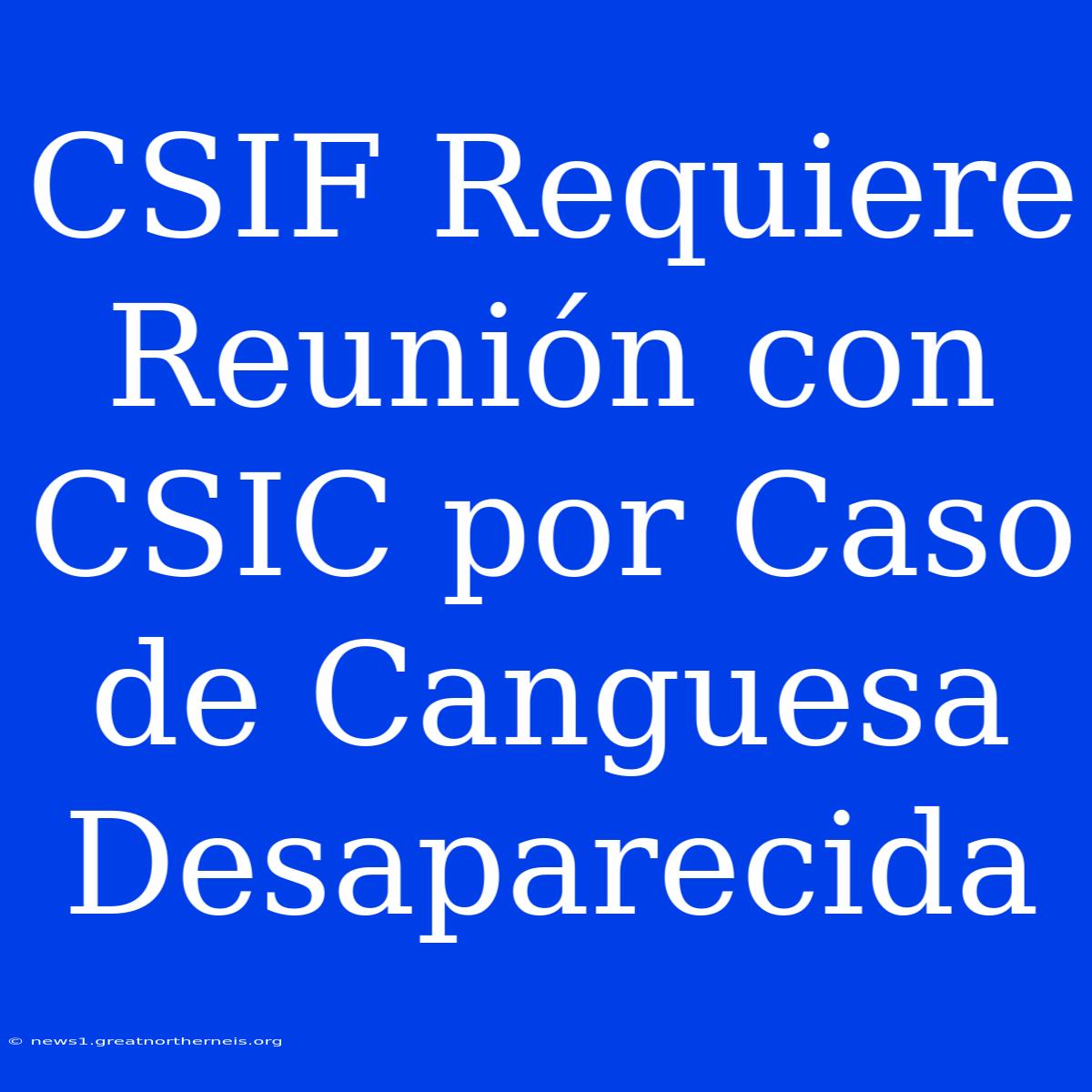 CSIF Requiere Reunión Con CSIC Por Caso De Canguesa Desaparecida