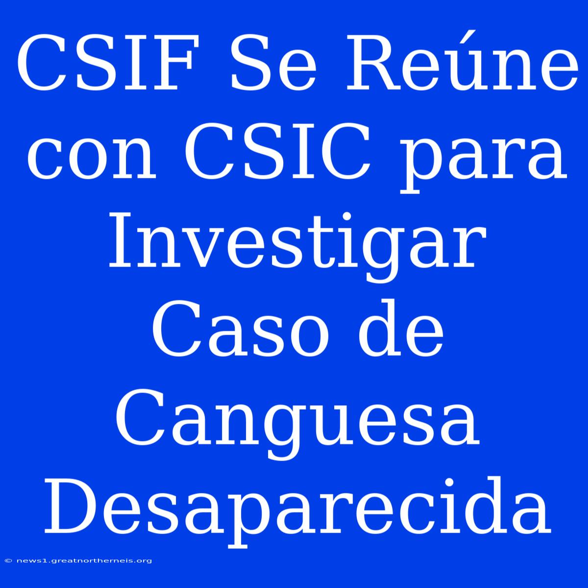 CSIF Se Reúne Con CSIC Para Investigar Caso De Canguesa Desaparecida