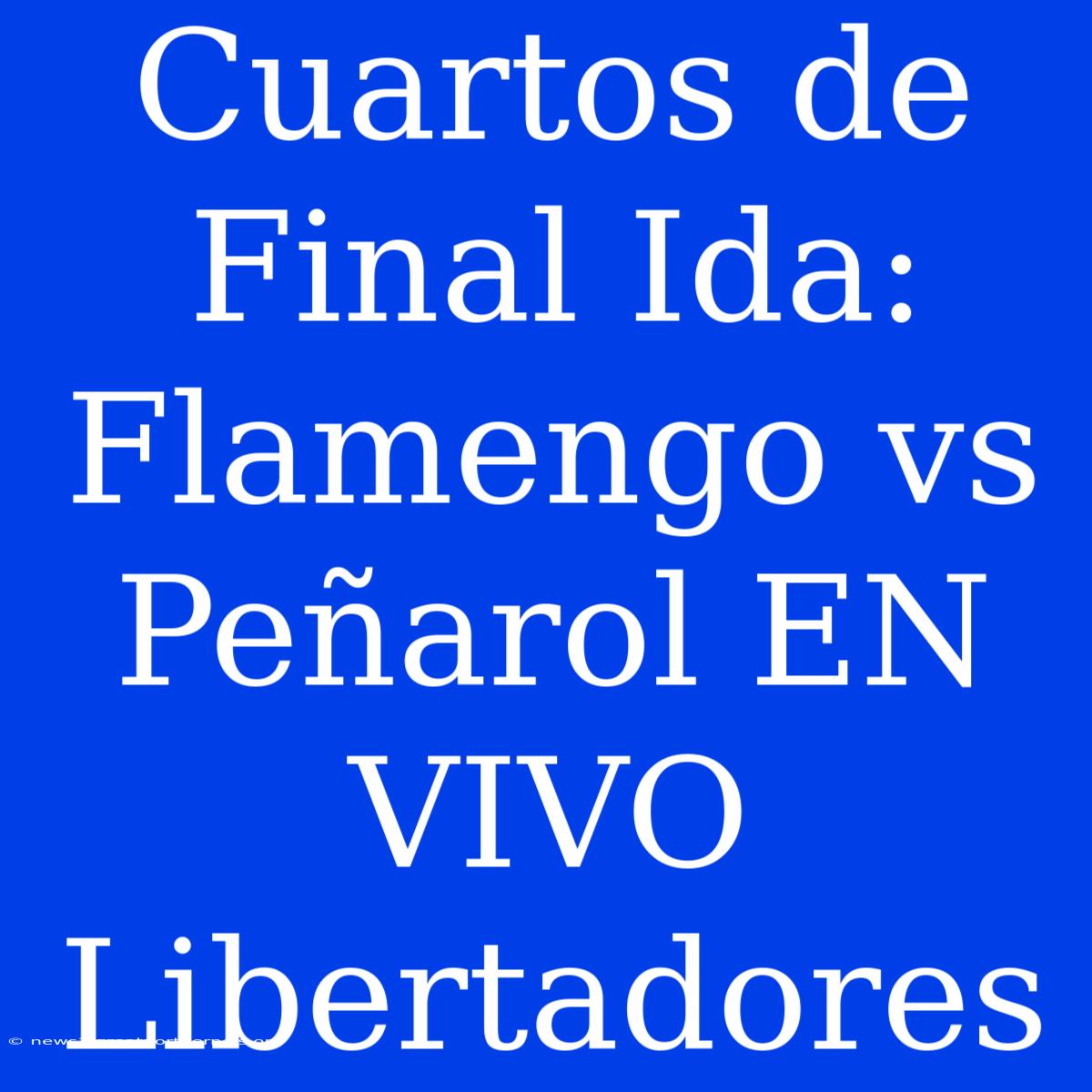 Cuartos De Final Ida: Flamengo Vs Peñarol EN VIVO Libertadores