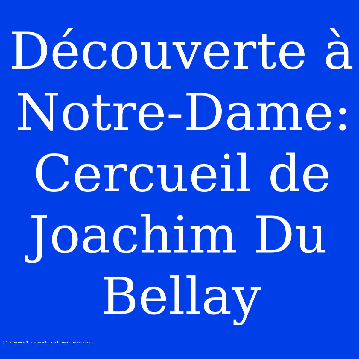 Découverte À Notre-Dame: Cercueil De Joachim Du Bellay