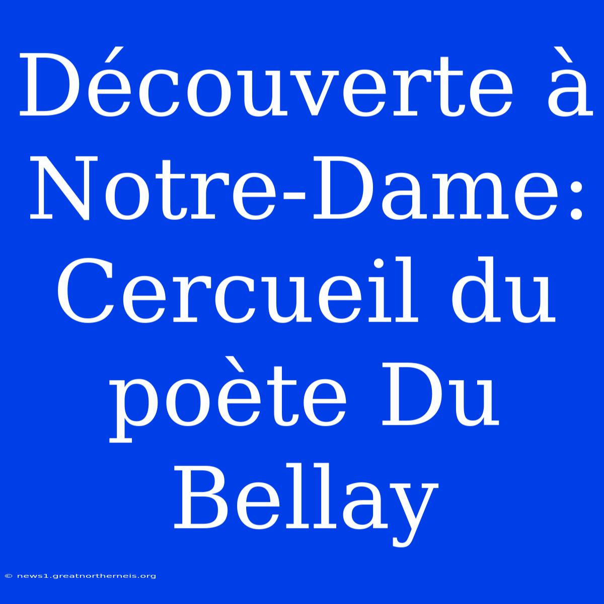 Découverte À Notre-Dame: Cercueil Du Poète Du Bellay