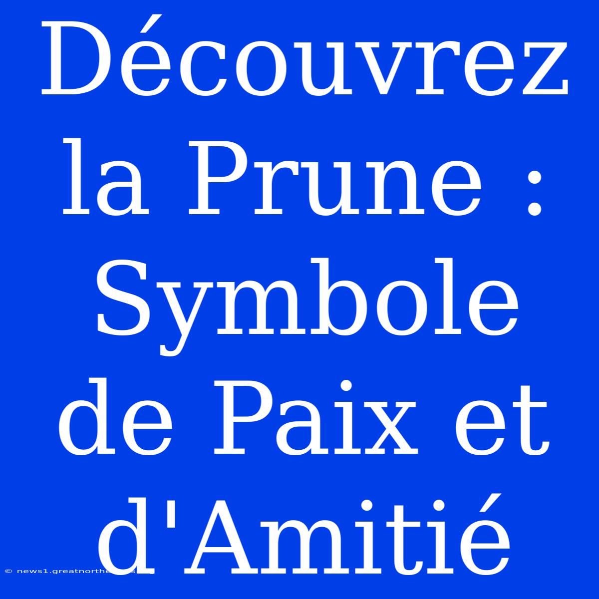 Découvrez La Prune : Symbole De Paix Et D'Amitié