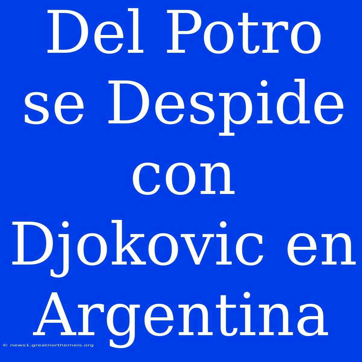 Del Potro Se Despide Con Djokovic En Argentina