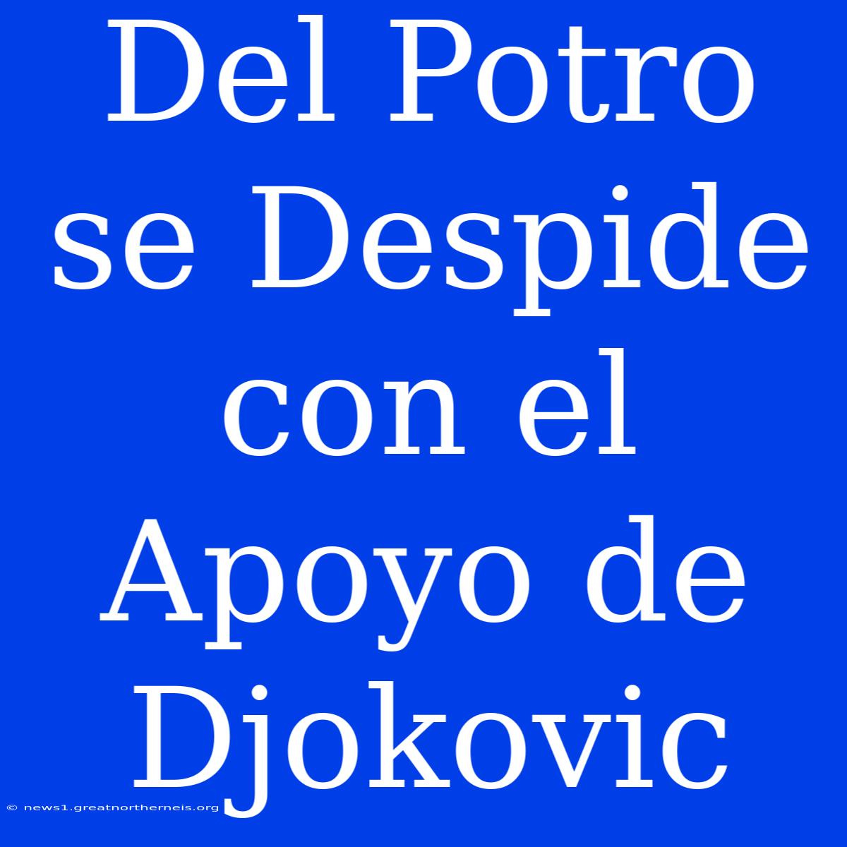 Del Potro Se Despide Con El Apoyo De Djokovic