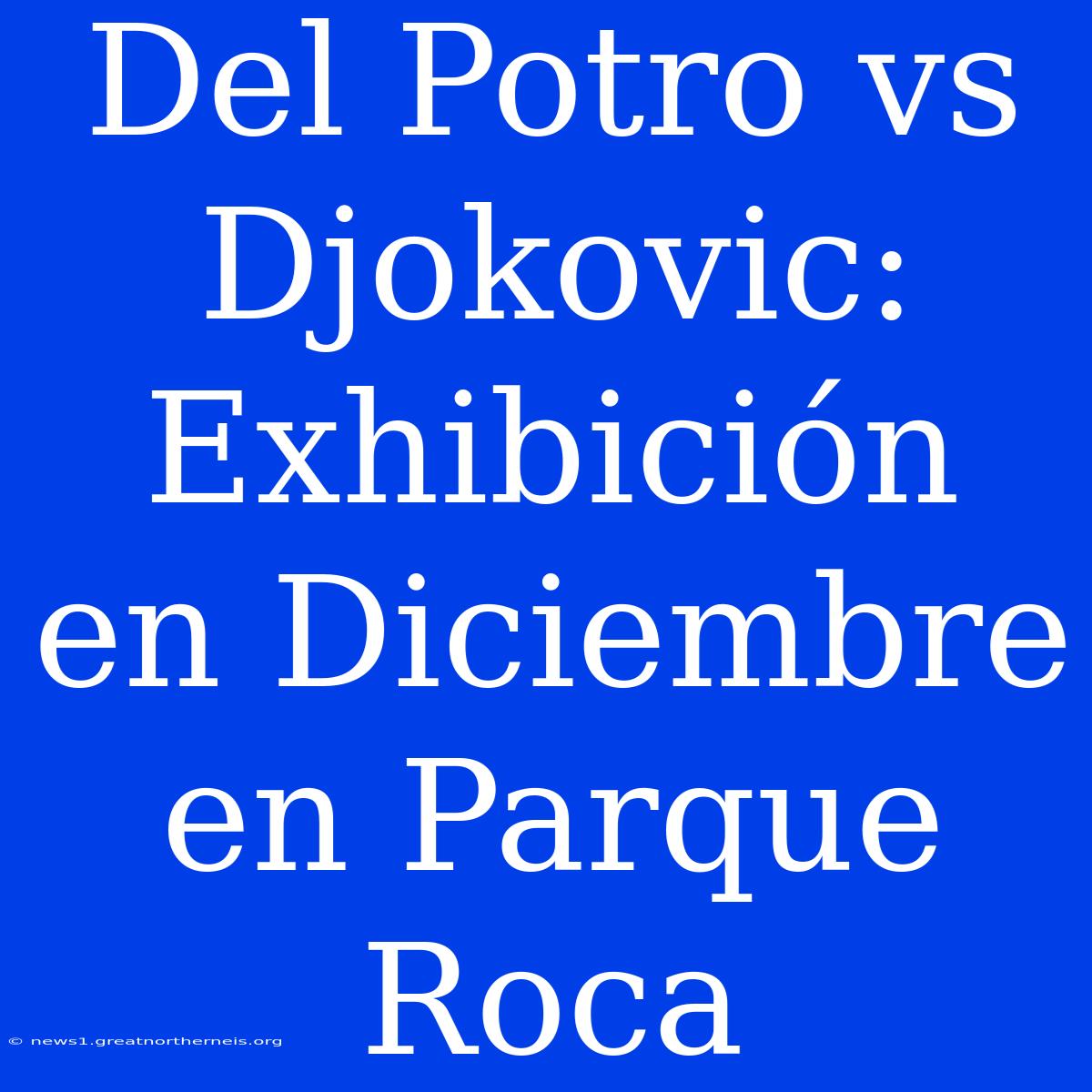 Del Potro Vs Djokovic: Exhibición En Diciembre En Parque Roca