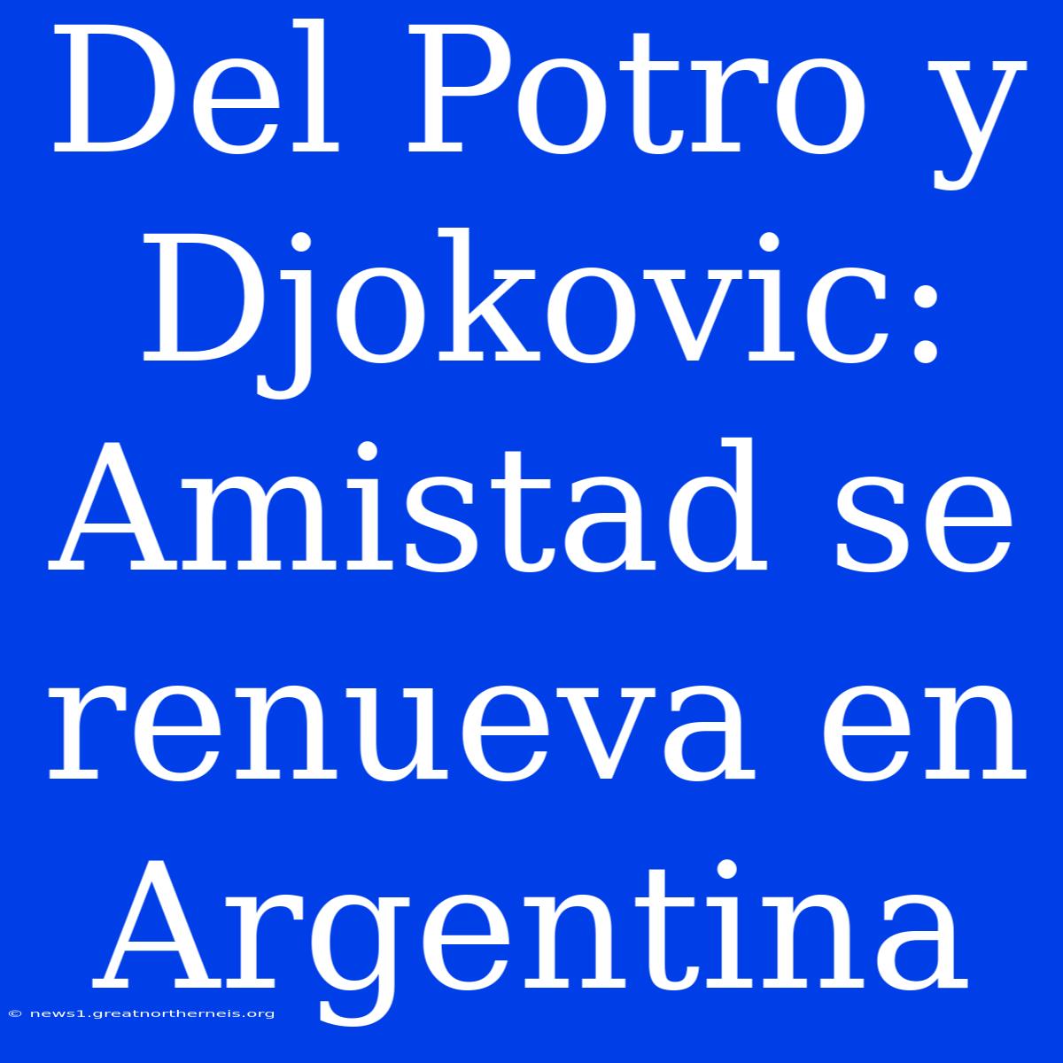 Del Potro Y Djokovic: Amistad Se Renueva En Argentina