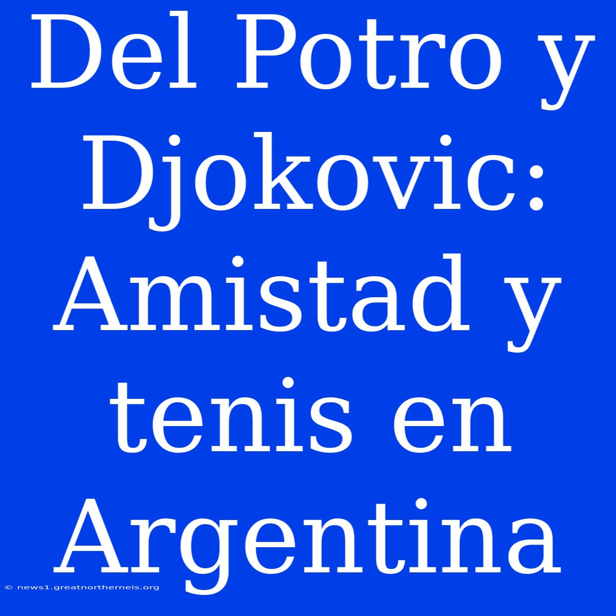 Del Potro Y Djokovic: Amistad Y Tenis En Argentina