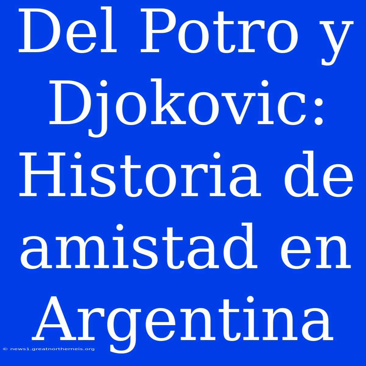 Del Potro Y Djokovic: Historia De Amistad En Argentina