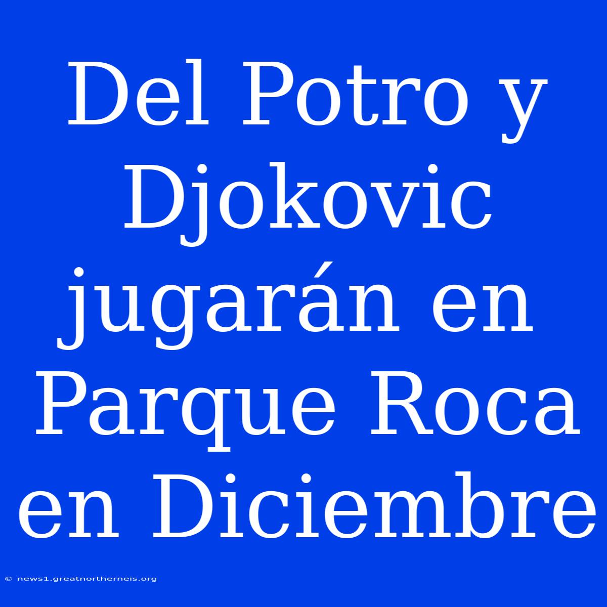 Del Potro Y Djokovic Jugarán En Parque Roca En Diciembre