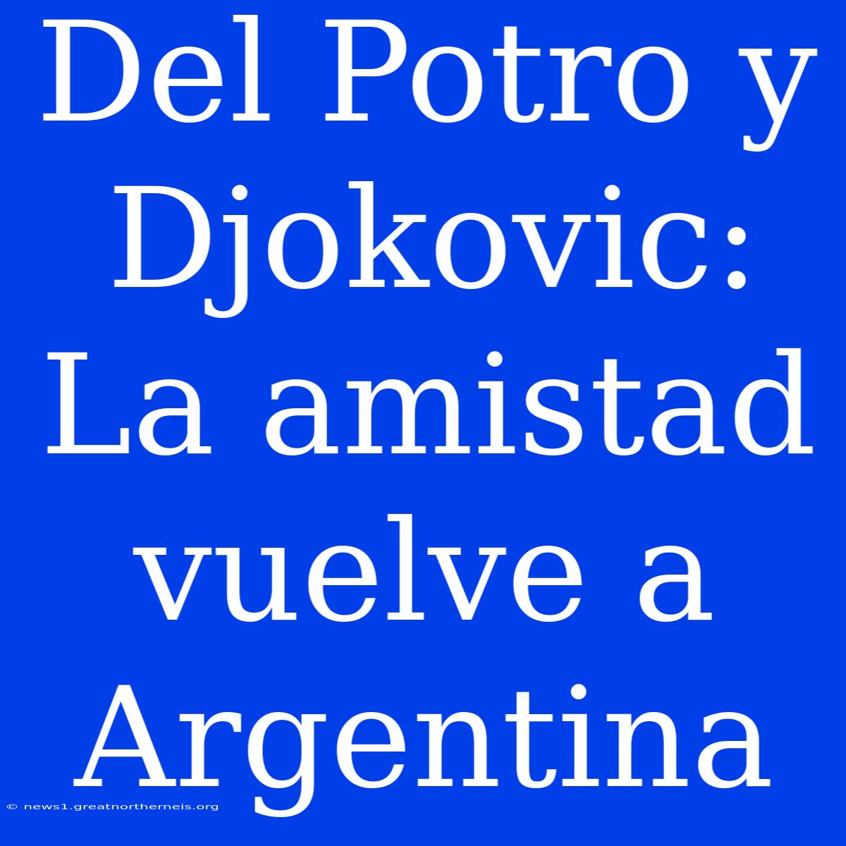 Del Potro Y Djokovic: La Amistad Vuelve A Argentina