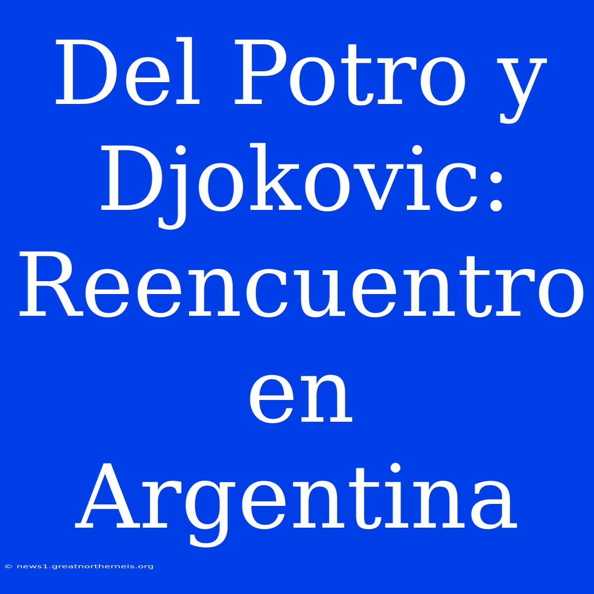 Del Potro Y Djokovic: Reencuentro En Argentina