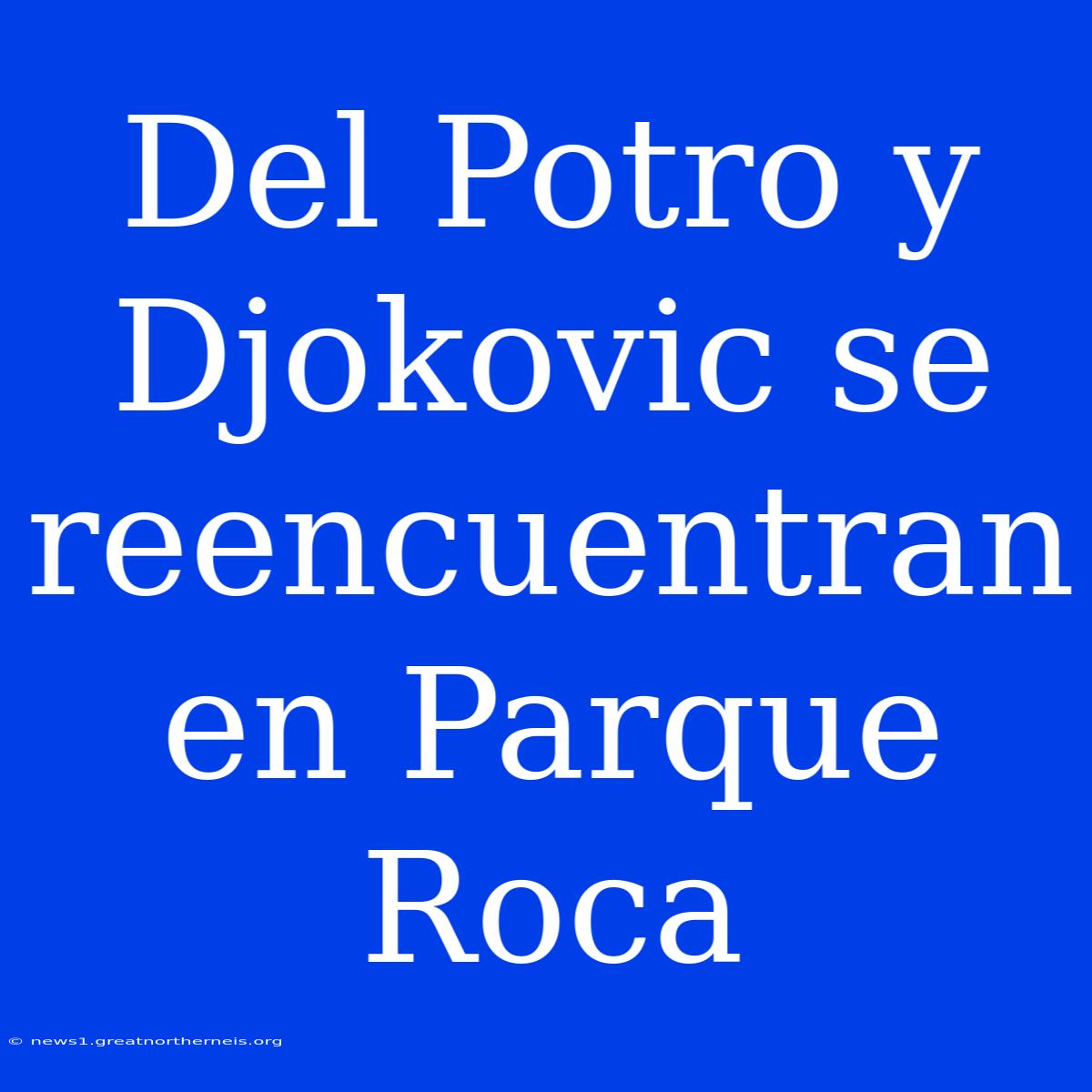 Del Potro Y Djokovic Se Reencuentran En Parque Roca