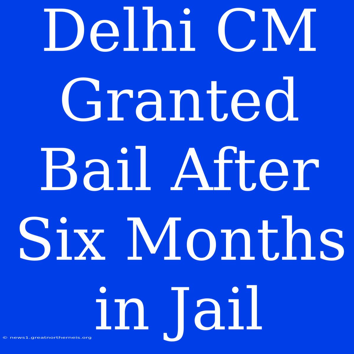 Delhi CM Granted Bail After Six Months In Jail