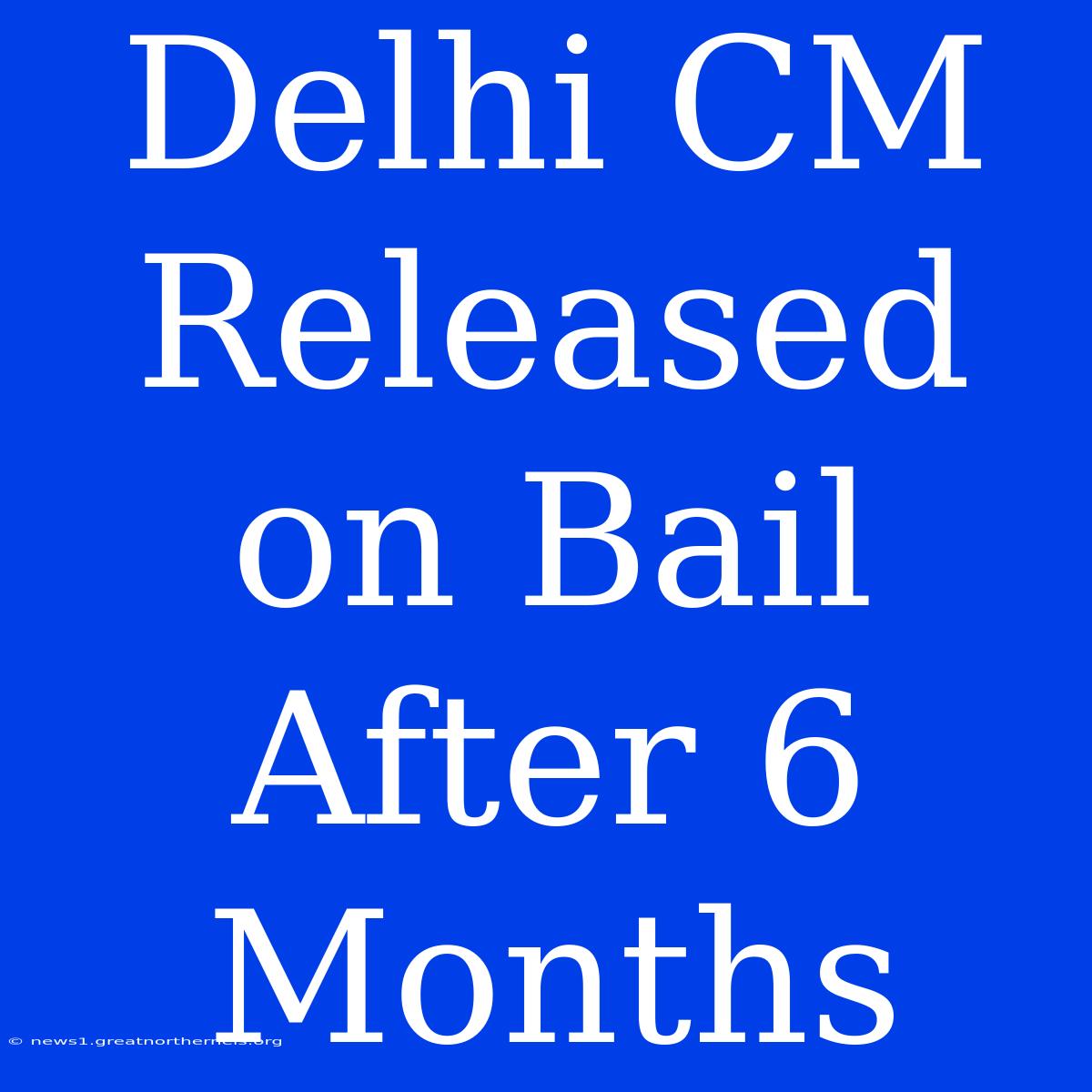 Delhi CM Released On Bail After 6 Months