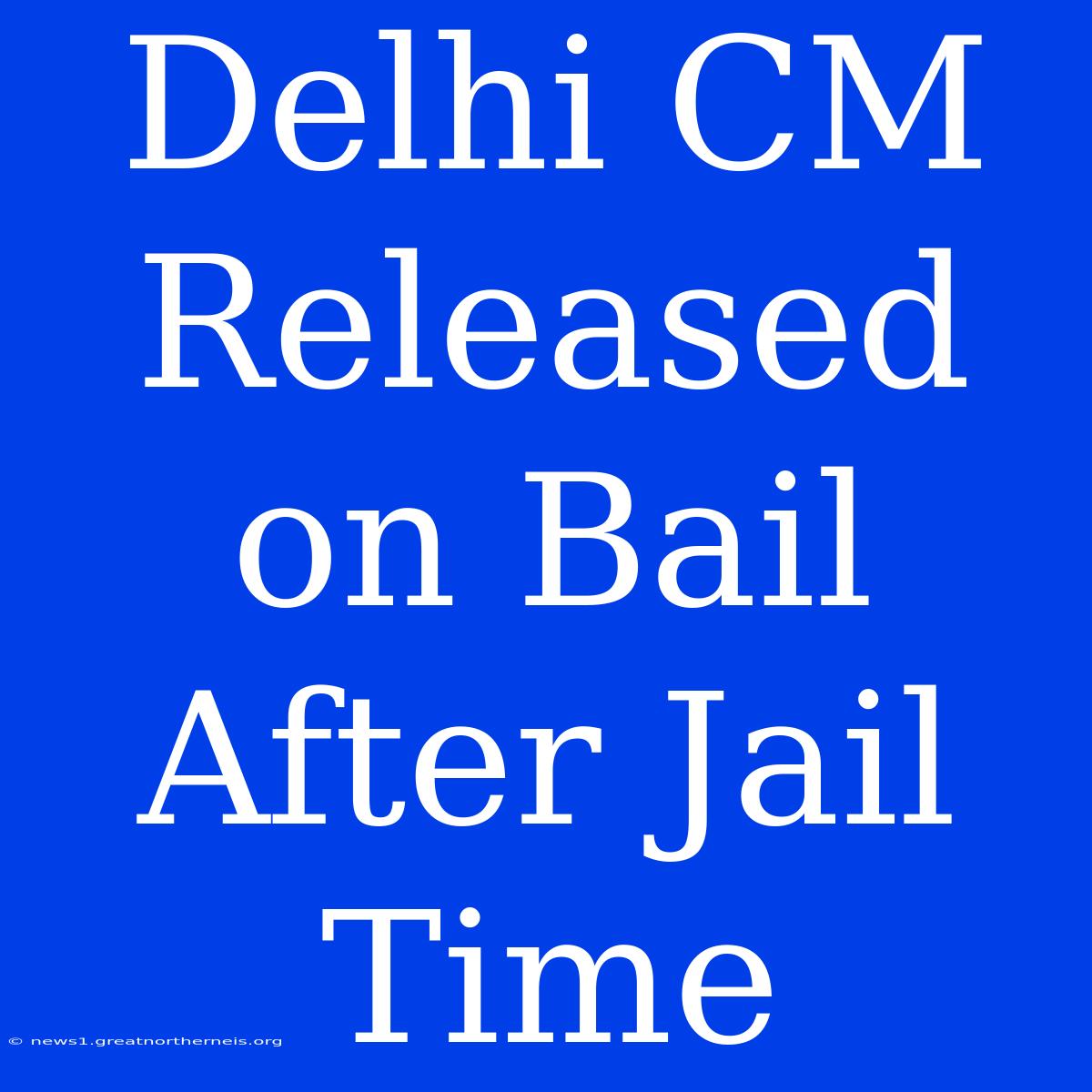 Delhi CM Released On Bail After Jail Time