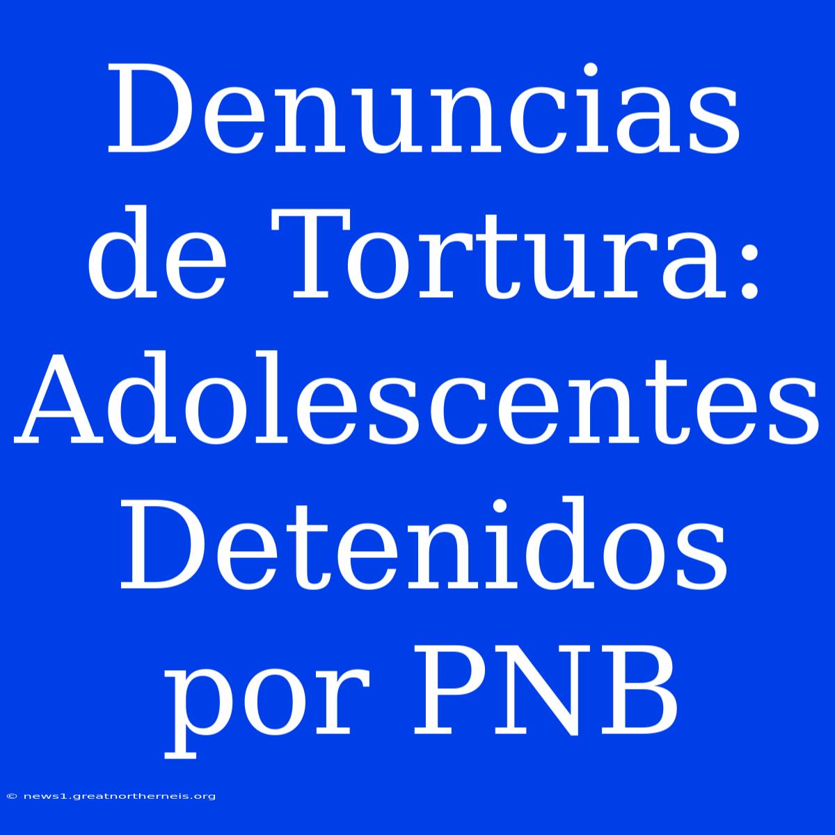 Denuncias De Tortura: Adolescentes Detenidos Por PNB