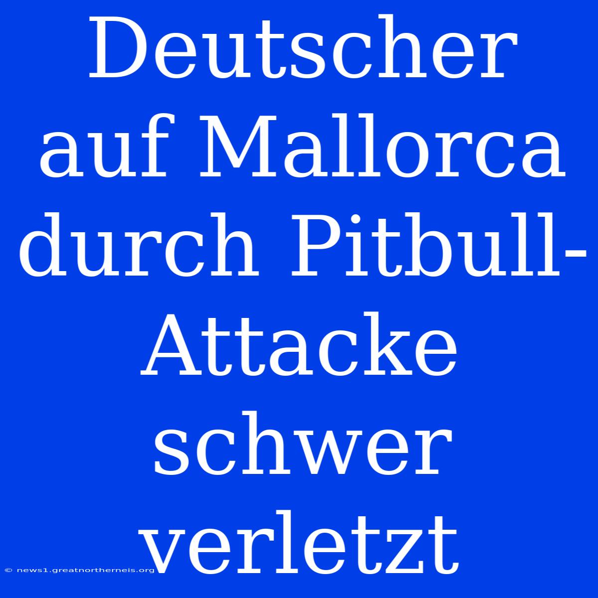 Deutscher Auf Mallorca Durch Pitbull-Attacke Schwer Verletzt