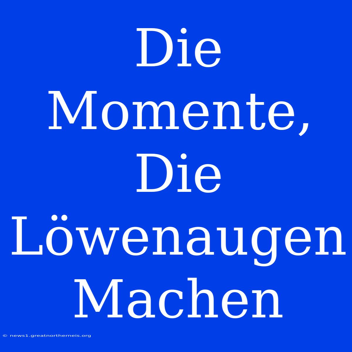 Die Momente, Die Löwenaugen Machen