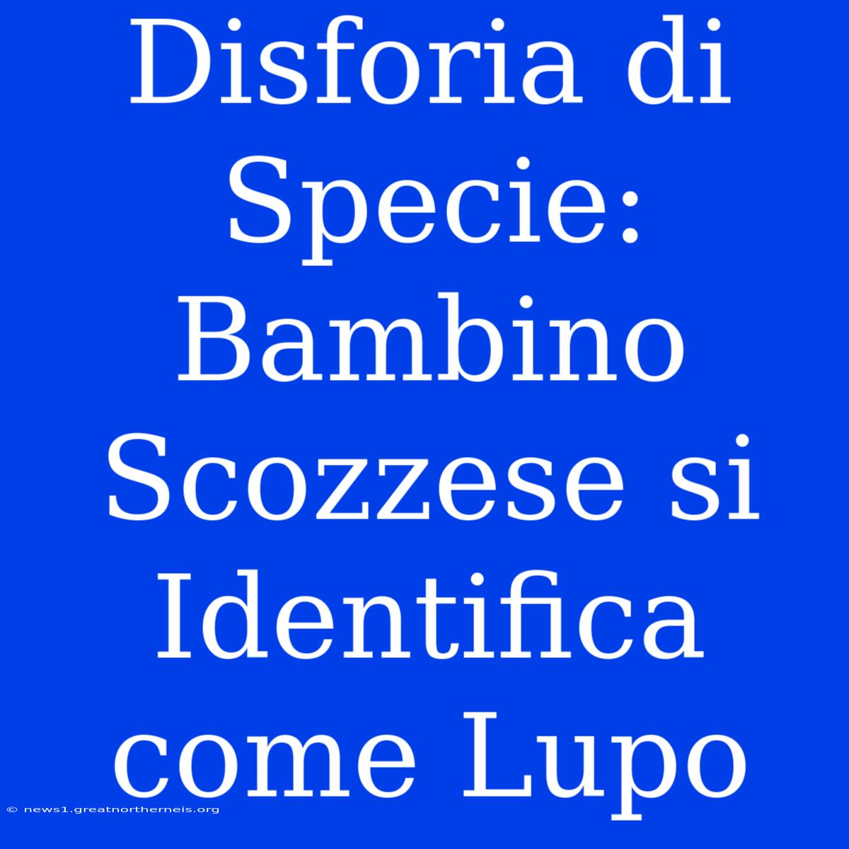 Disforia Di Specie: Bambino Scozzese Si Identifica Come Lupo