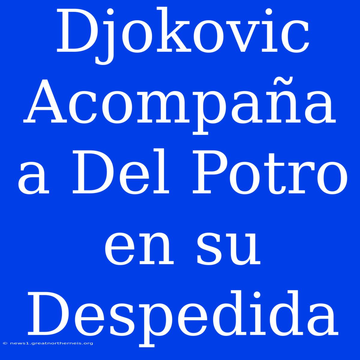 Djokovic Acompaña A Del Potro En Su Despedida