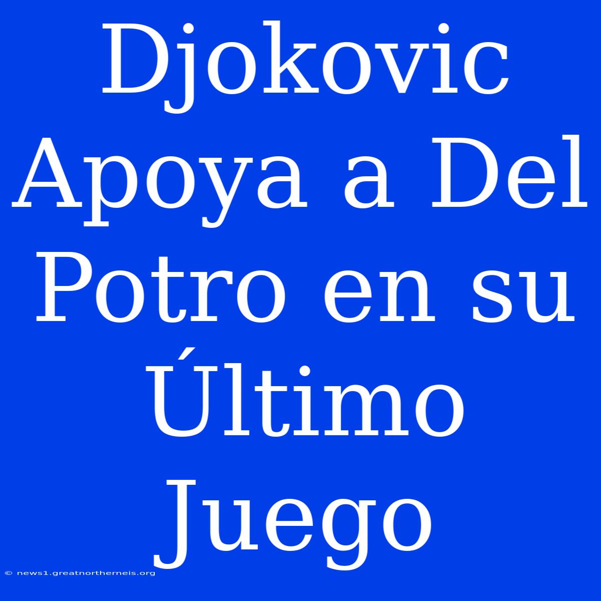 Djokovic Apoya A Del Potro En Su Último Juego