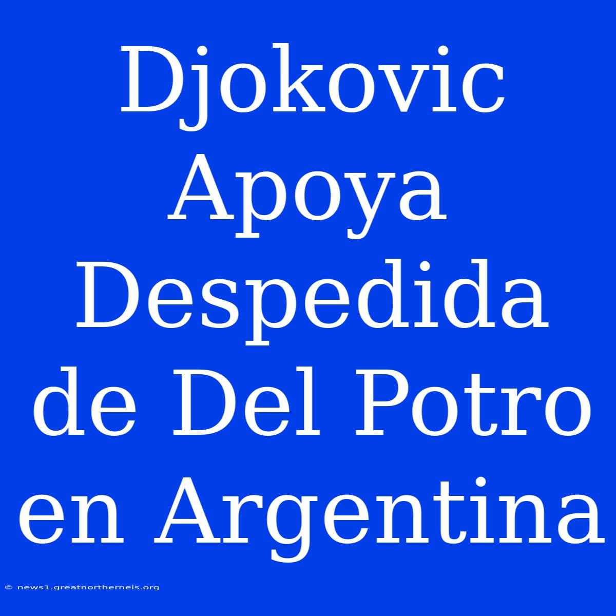 Djokovic Apoya Despedida De Del Potro En Argentina