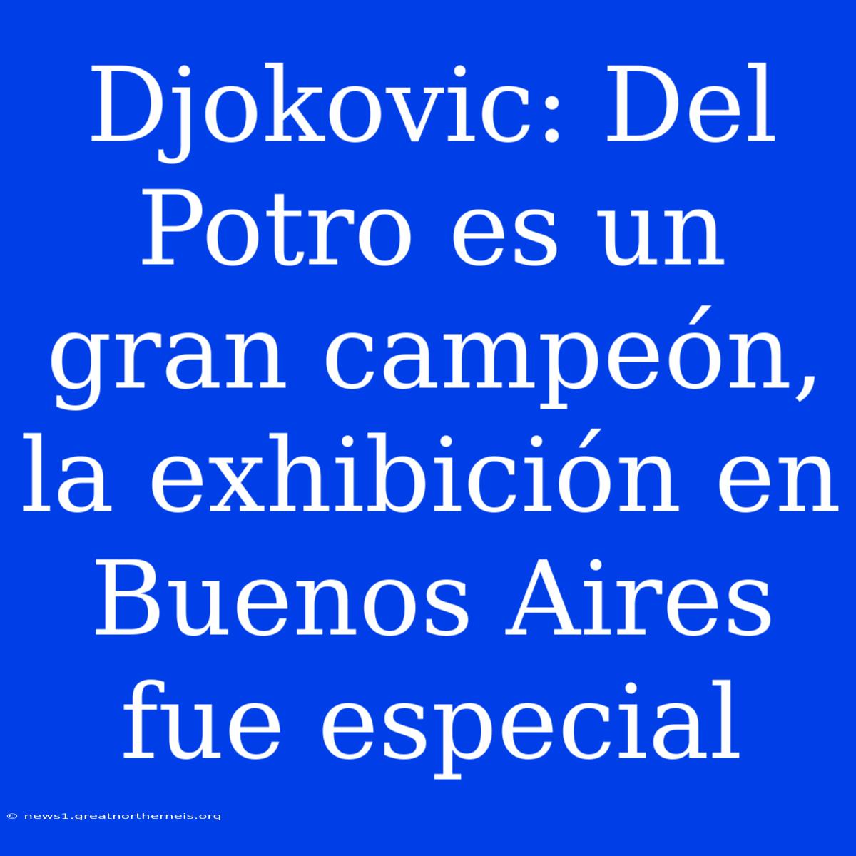 Djokovic: Del Potro Es Un Gran Campeón, La Exhibición En Buenos Aires Fue Especial