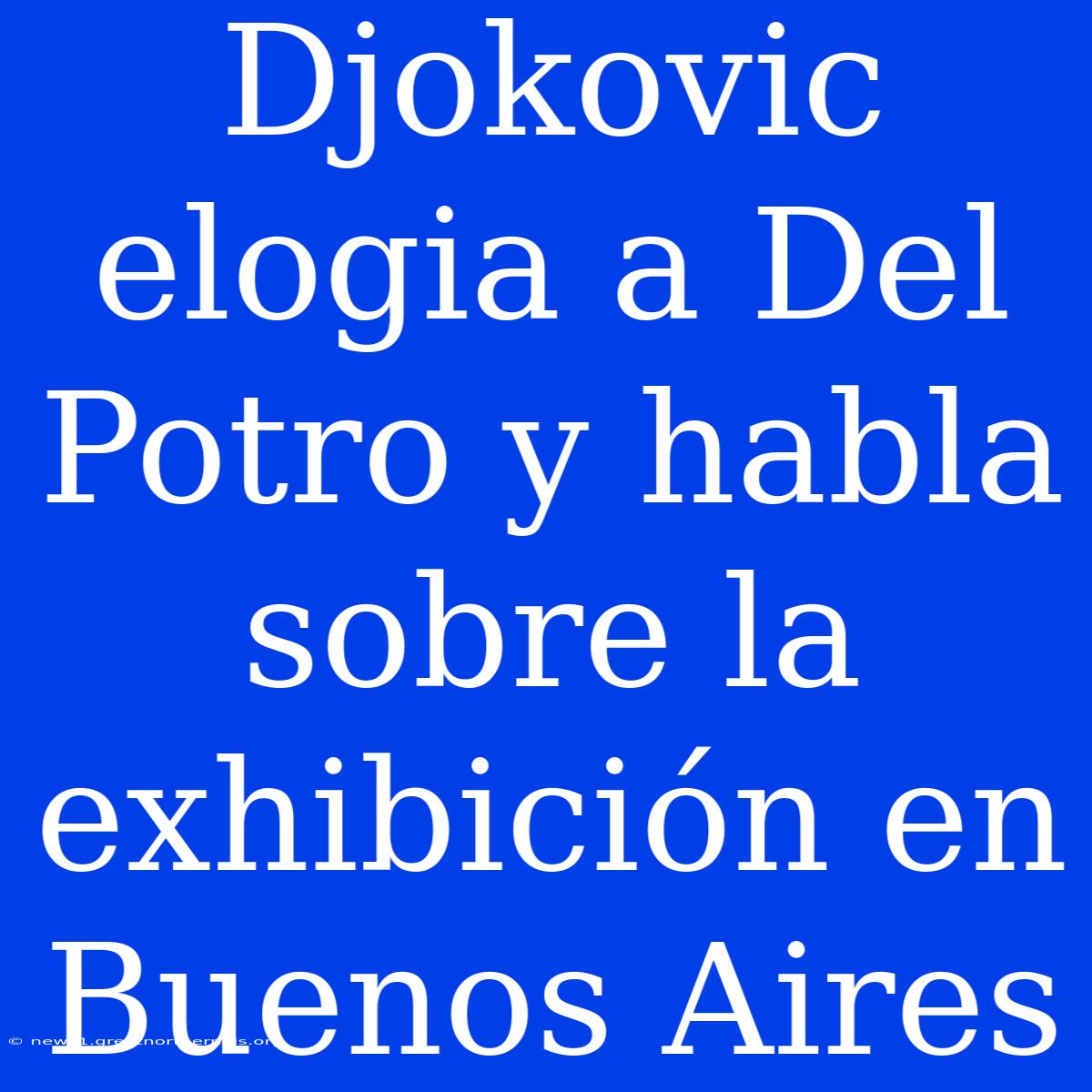 Djokovic Elogia A Del Potro Y Habla Sobre La Exhibición En Buenos Aires