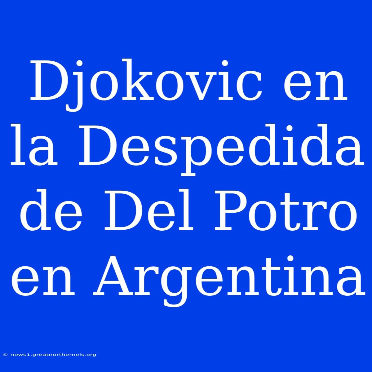 Djokovic En La Despedida De Del Potro En Argentina