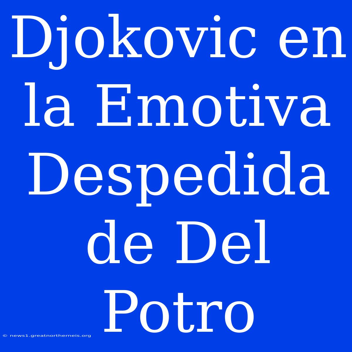 Djokovic En La Emotiva Despedida De Del Potro