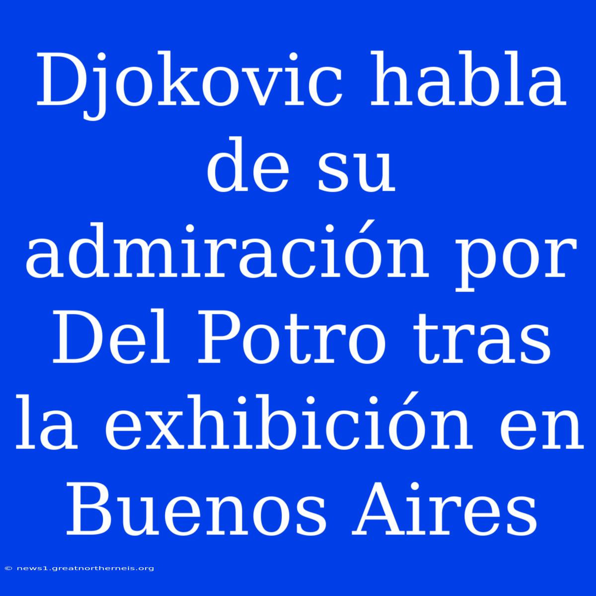 Djokovic Habla De Su Admiración Por Del Potro Tras La Exhibición En Buenos Aires