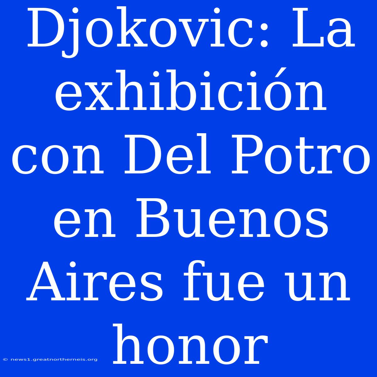 Djokovic: La Exhibición Con Del Potro En Buenos Aires Fue Un Honor