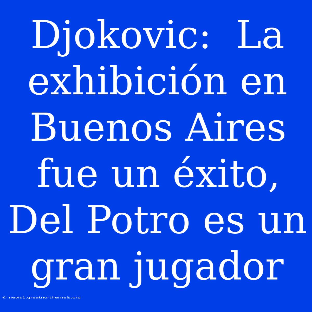 Djokovic:  La Exhibición En Buenos Aires Fue Un Éxito, Del Potro Es Un Gran Jugador