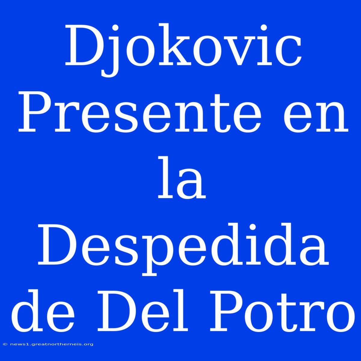 Djokovic Presente En La Despedida De Del Potro